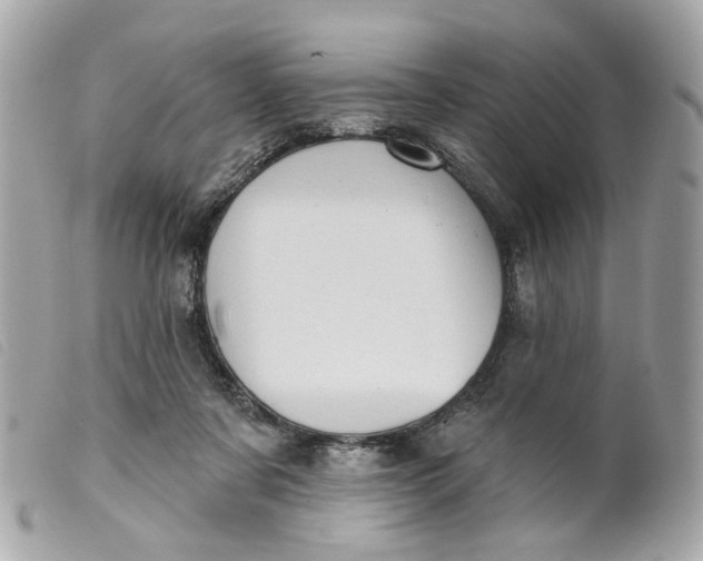 X0000099540311200805301506