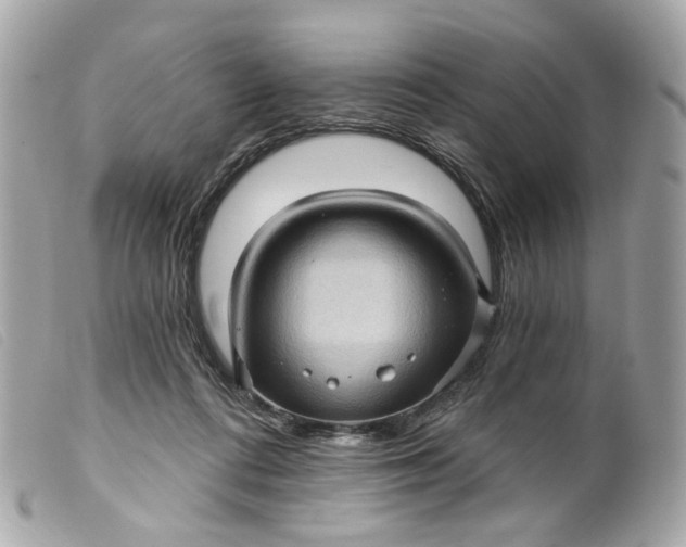 X0000099540312200805301506