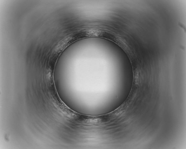 X0000099540314200805301506