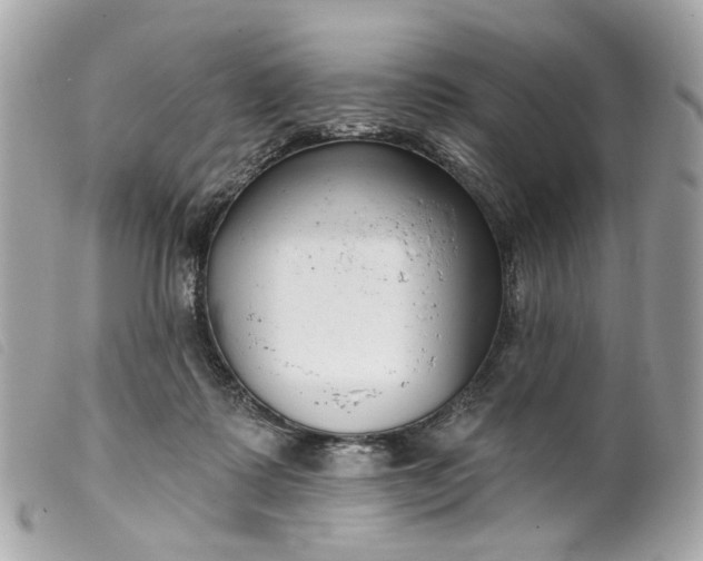 X0000099540315200805301506