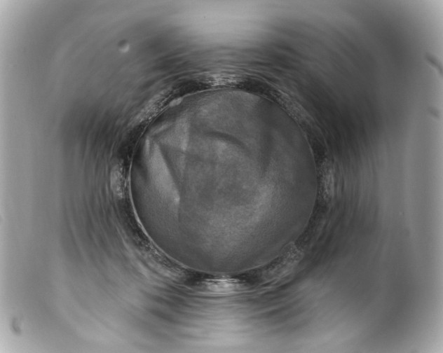 X0000099540316200805301506