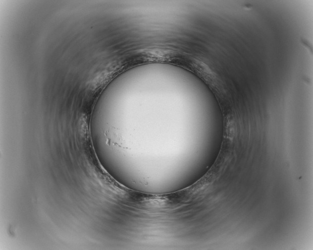 X0000099540318200805301506