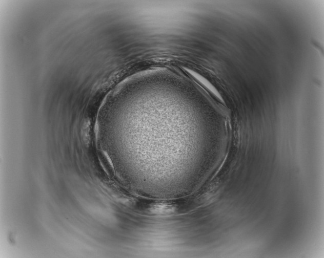 X0000099540319200805301506