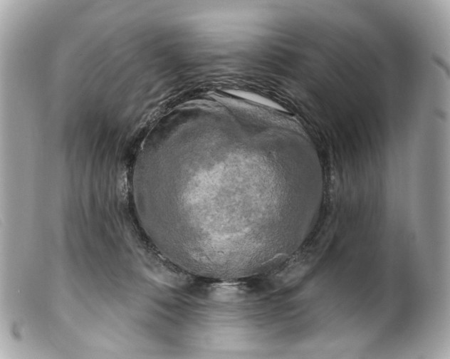 X0000099540320200805301506