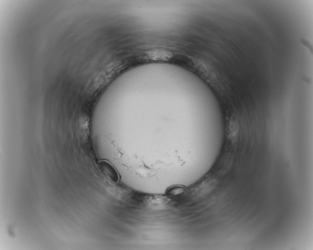 X0000099540321200805301506