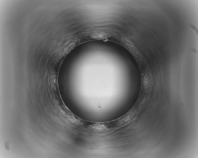 X0000099540322200805301506