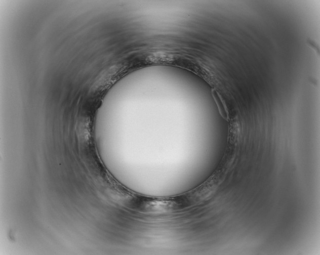 X0000099540323200805301506