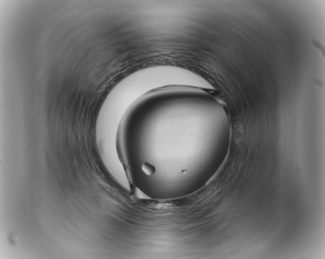 X0000099540324200805301506