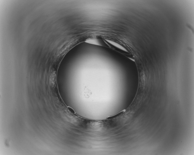 X0000099540325200805301506