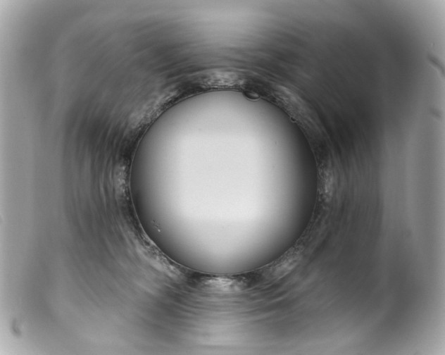 X0000099540326200805301506