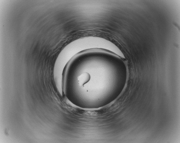 X0000099540328200805301506