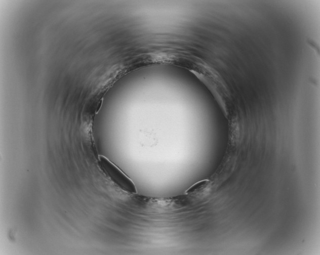 X0000099540329200805301506