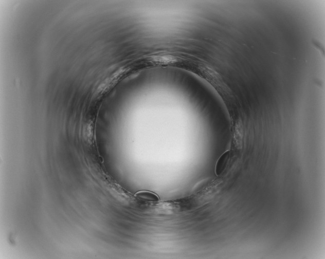 X0000099540330200805301506