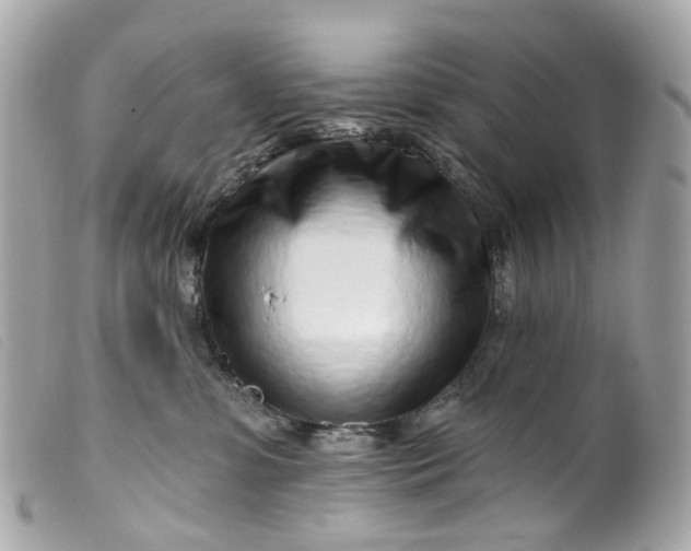 X0000099540331200805301506