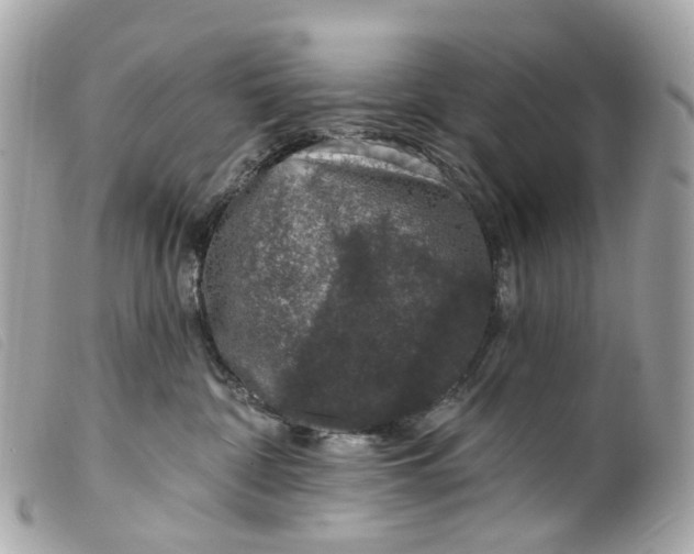 X0000099540332200805301506