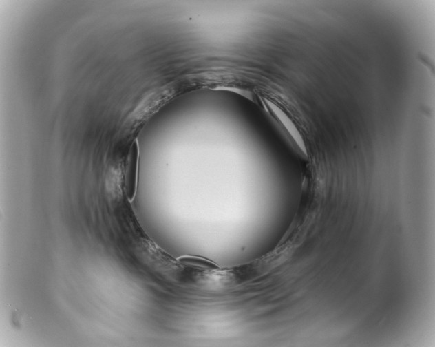 X0000099540333200805301506