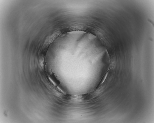 X0000099540334200805301506