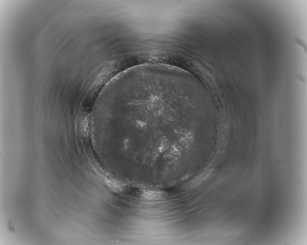 X0000099540336200805301506