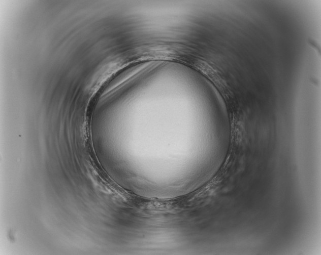 X0000099540338200805301505