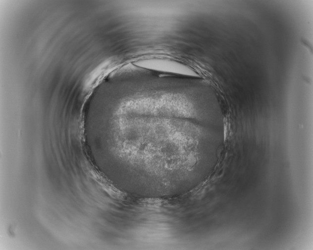 X0000099540339200805301505