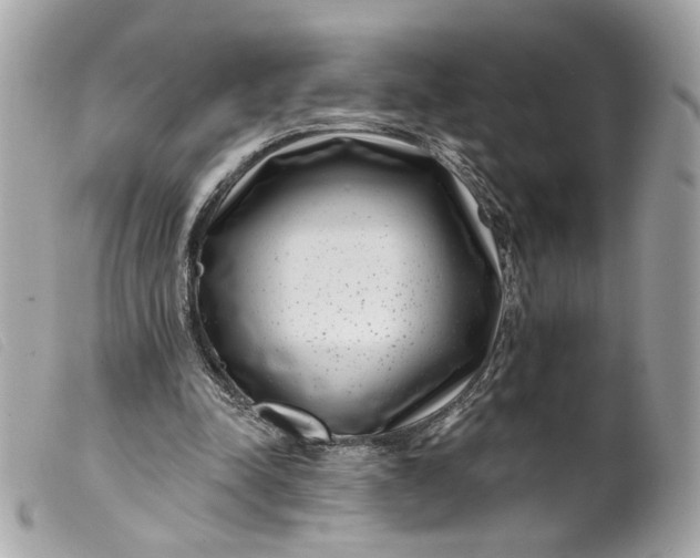 X0000099540342200805301505