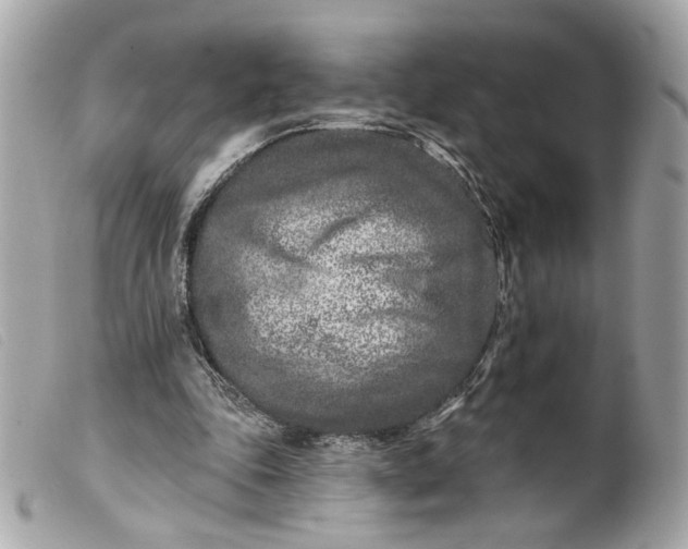 X0000099540343200805301505