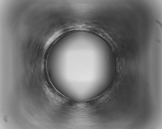 X0000099540344200805301505