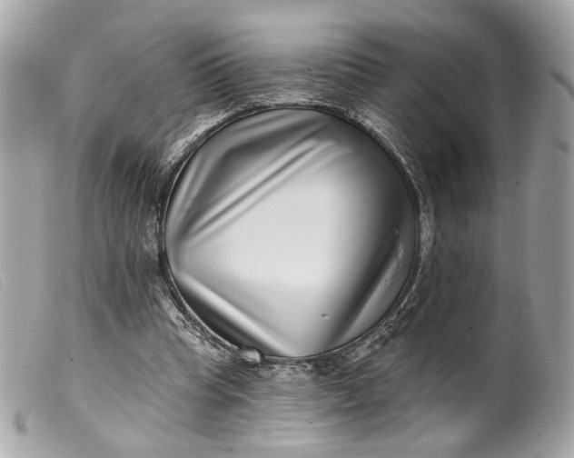 X0000099540345200805301505