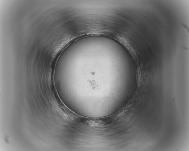 X0000099540346200805301505