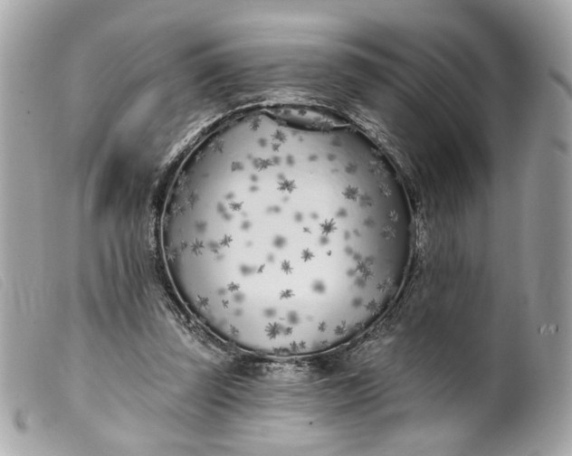 X0000099540347200805301505