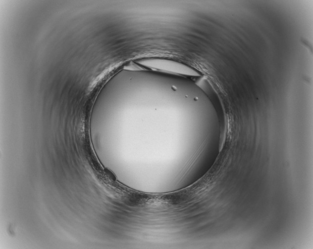 X0000099540348200805301505