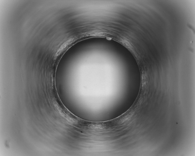 X0000099540349200805301505