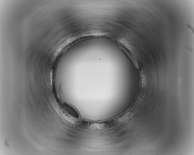 X0000099540350200805301505