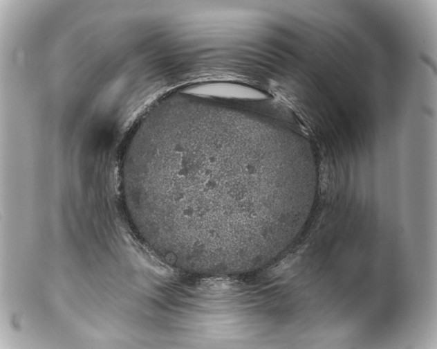 X0000099540351200805301505