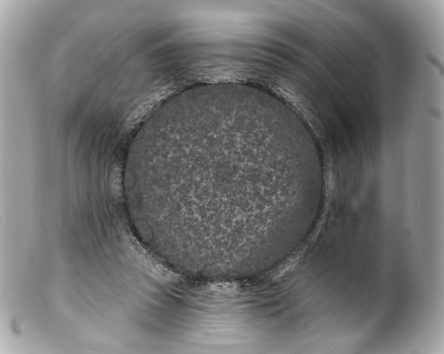 X0000099540353200805301505