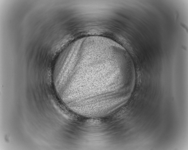 X0000099540354200805301505