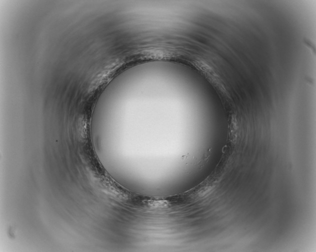 X0000099540355200805301505