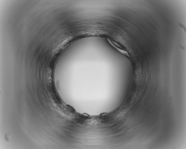 X0000099540356200805301505