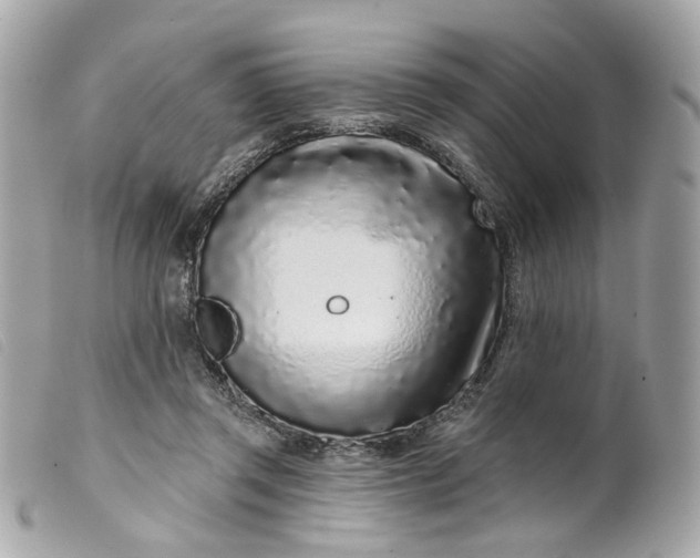 X0000099540357200805301505