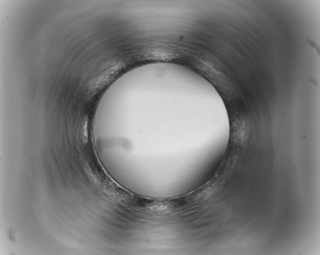 X0000099540358200805301505