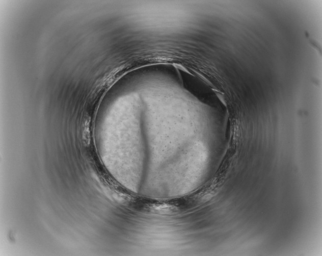 X0000099540360200805301505