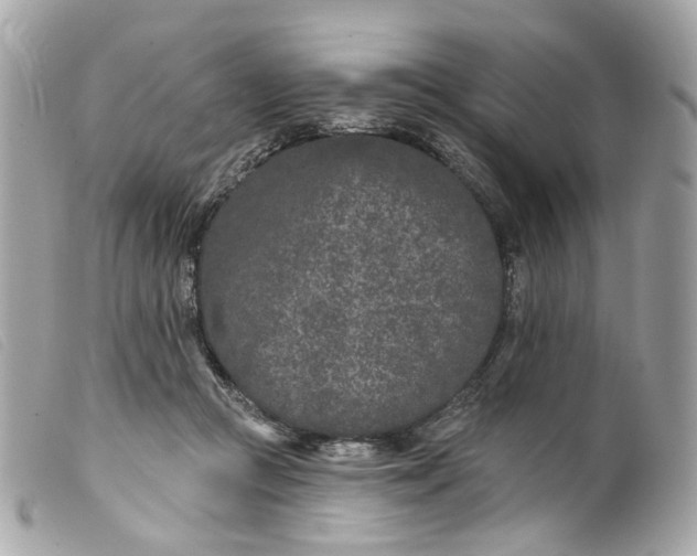 X0000099540361200805301505