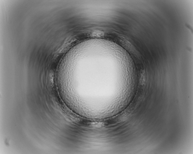 X0000099540363200805301505