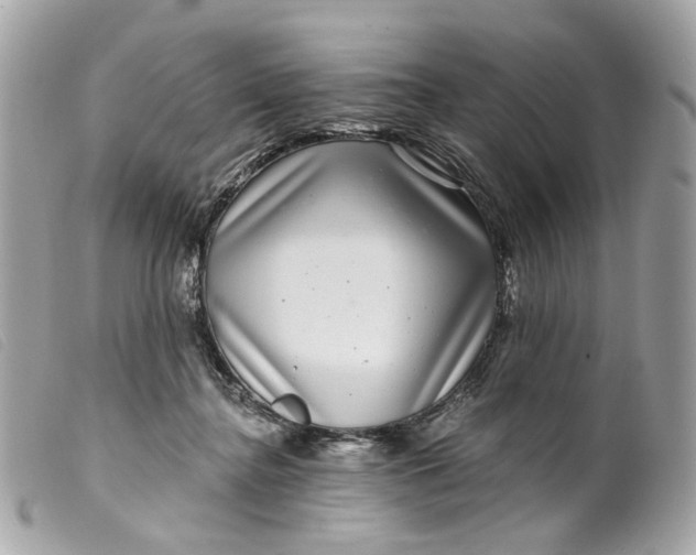 X0000099540364200805301505