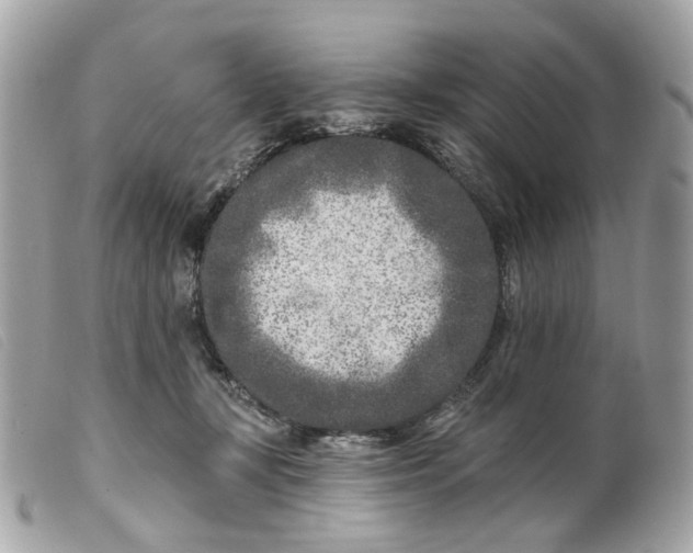 X0000099540367200805301505