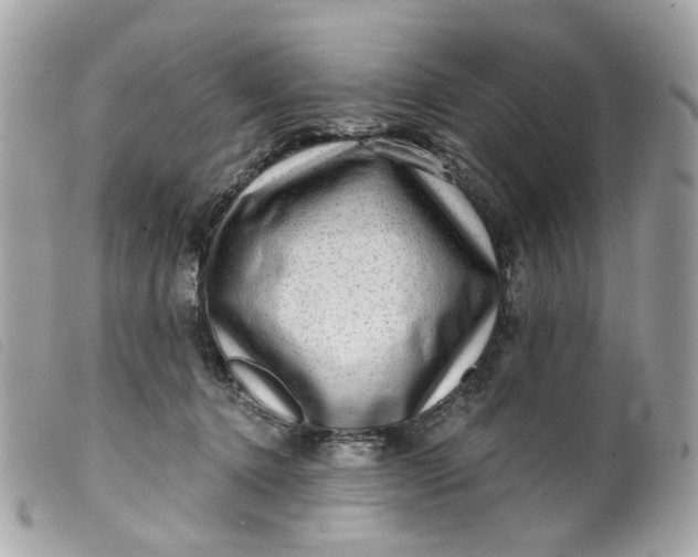 X0000099540368200805301505