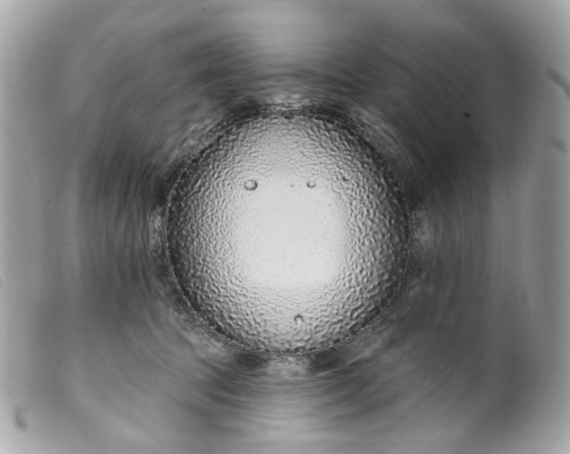 X0000099540369200805301505