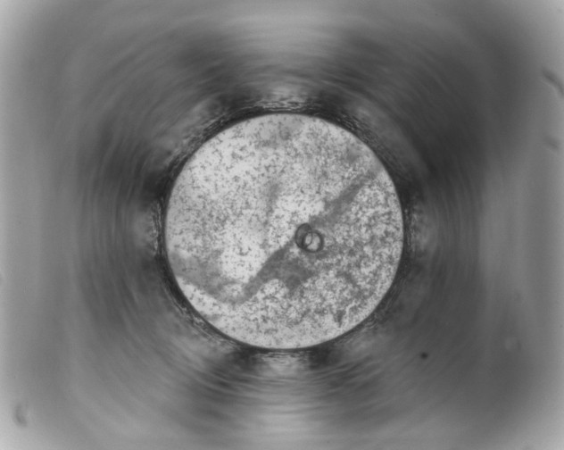 X0000099540370200805301505