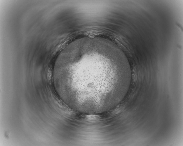 X0000099540371200805301505