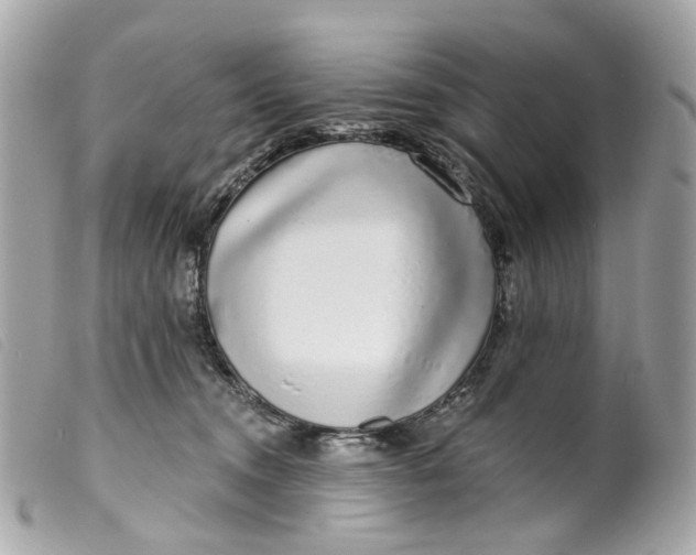 X0000099540372200805301505